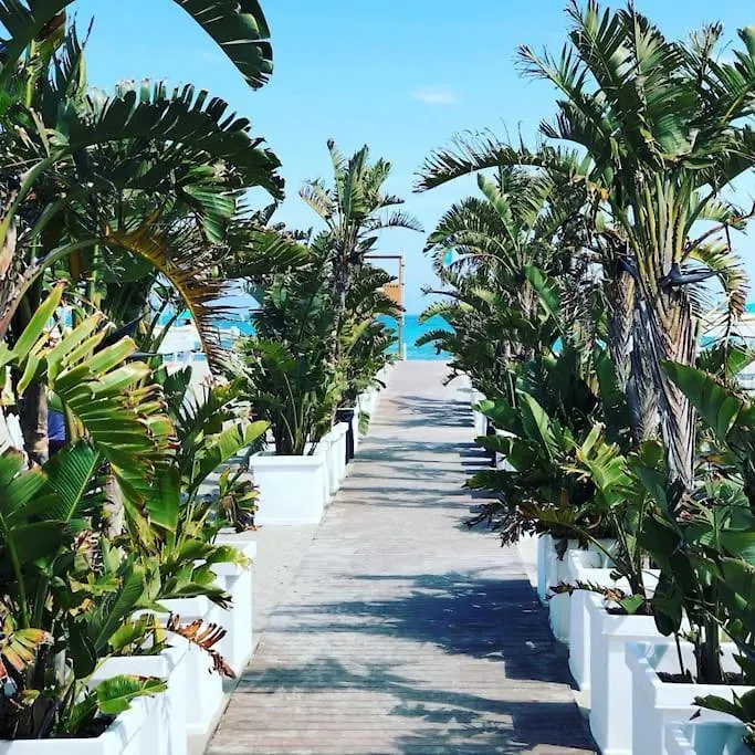 Flamingo Poetto Mare A Due Passi Apartment Cagliari